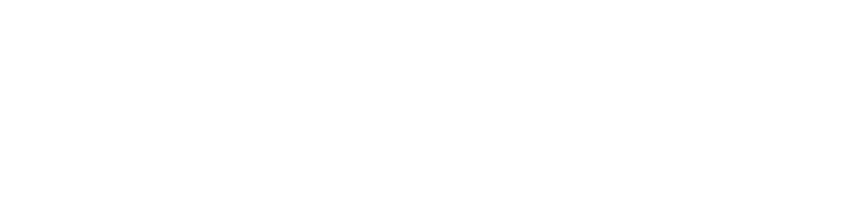 Librairie Ours à lunettes